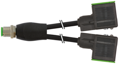 Rallonge, connecteur M12 Y mâle droit - 2x EV forme BI 11mm avec led +  7000-42421-6160060